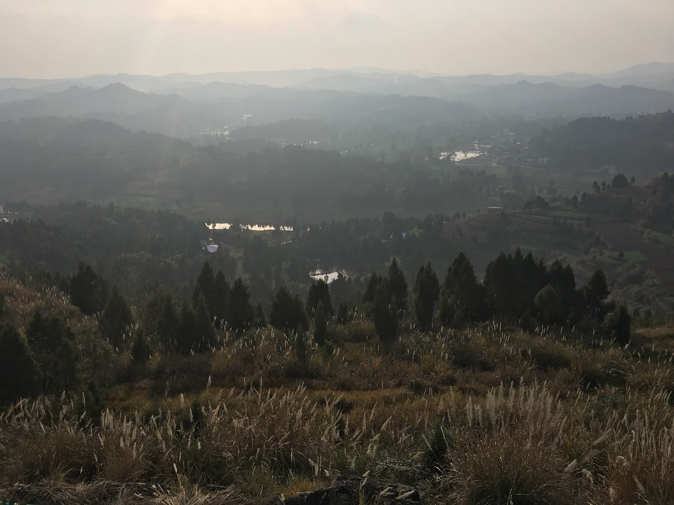 20180206095344.jpeg