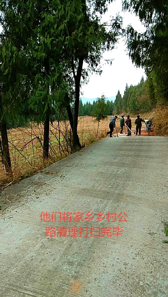 mmexport1517957910295_看图