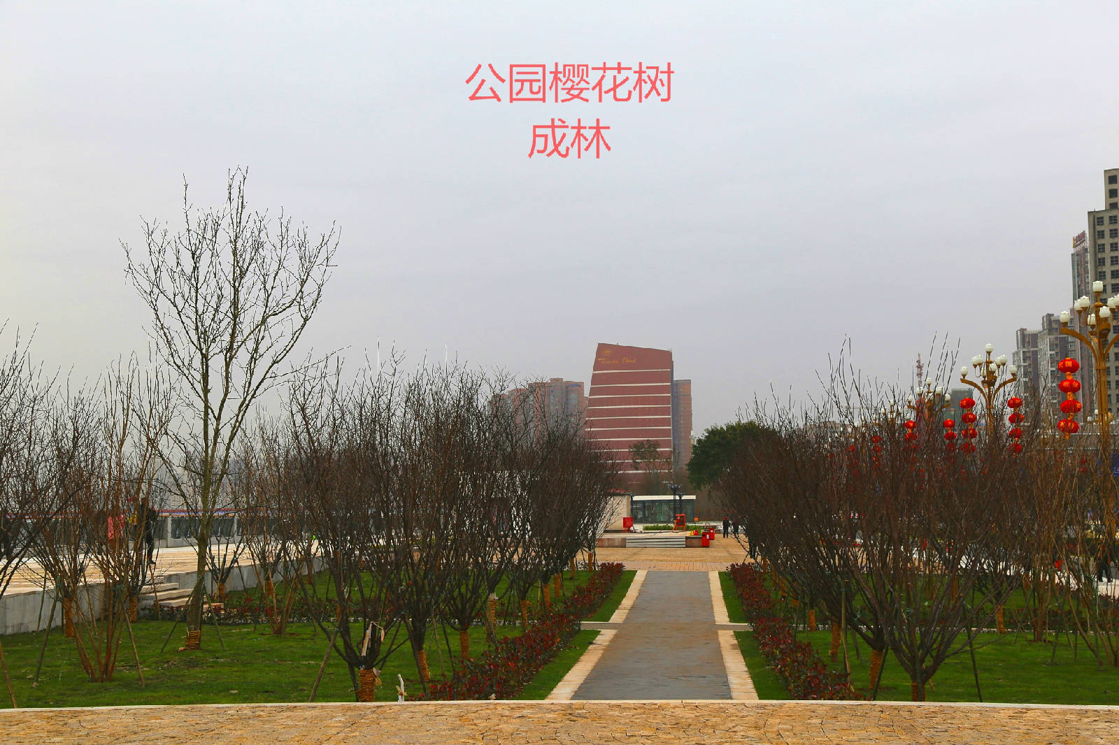 IMG_0057_看图