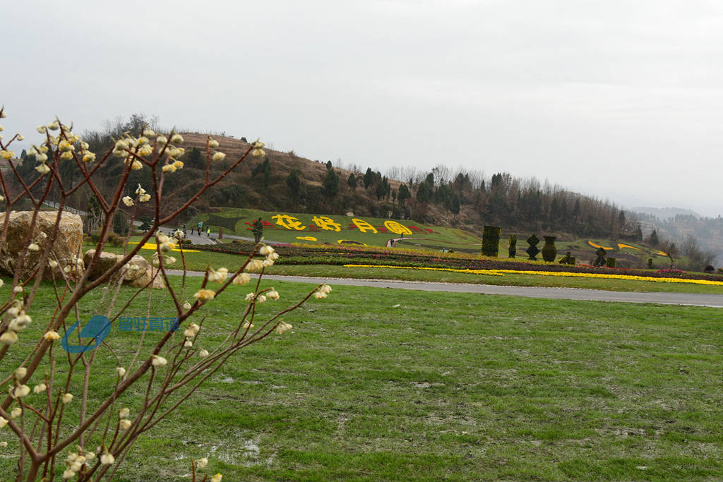 DSC_4360_副本.jpg
