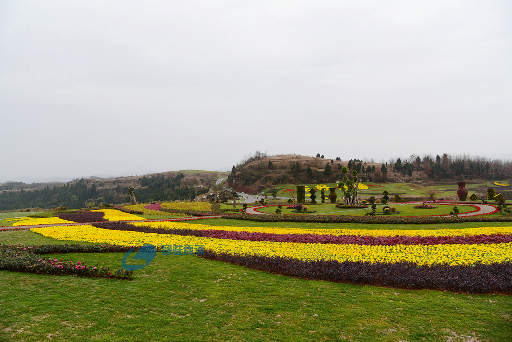 DSC_4331_.jpg