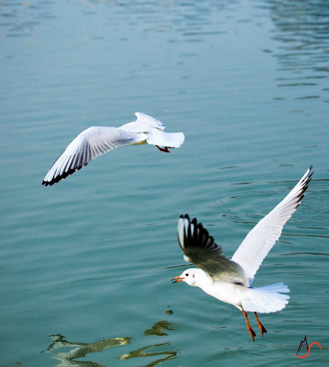 085A3819000_副本.jpg