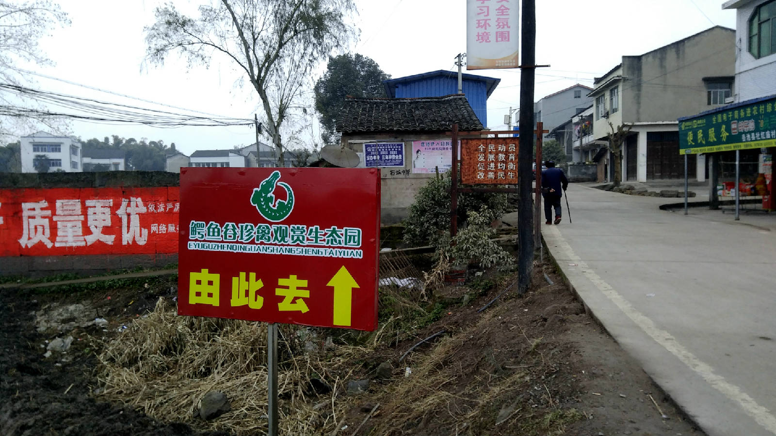 鳄鱼