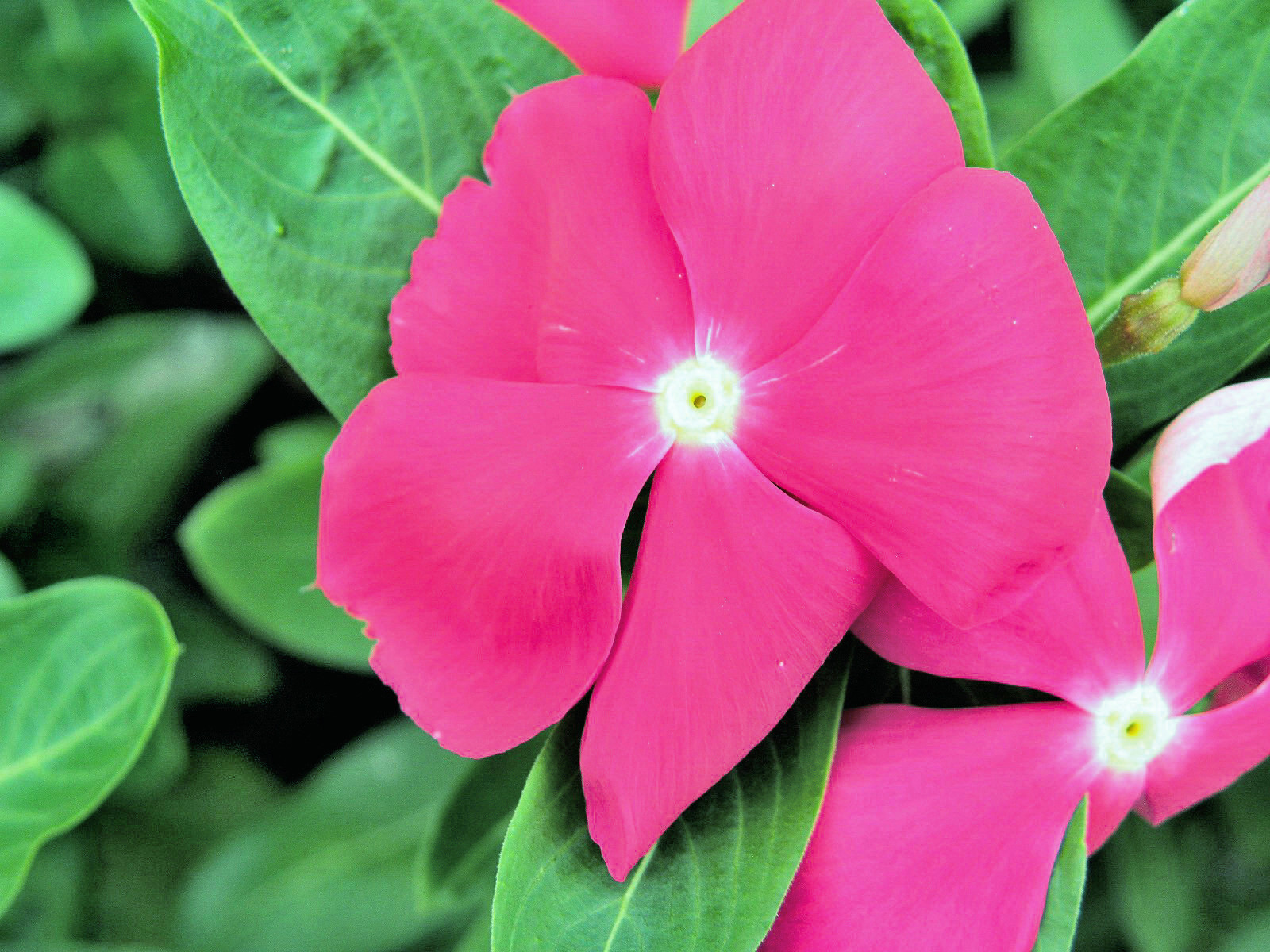 P8278631-.JPG