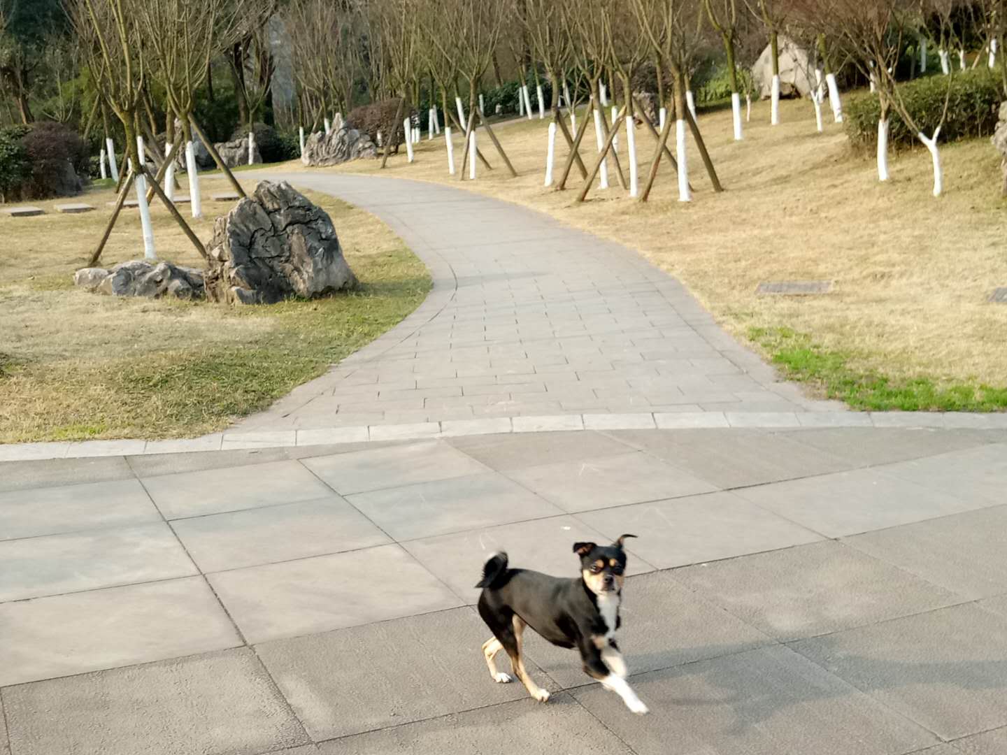 ΢ͼƬ_20180216063951.jpg