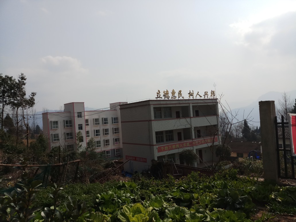20180216_131103.jpg