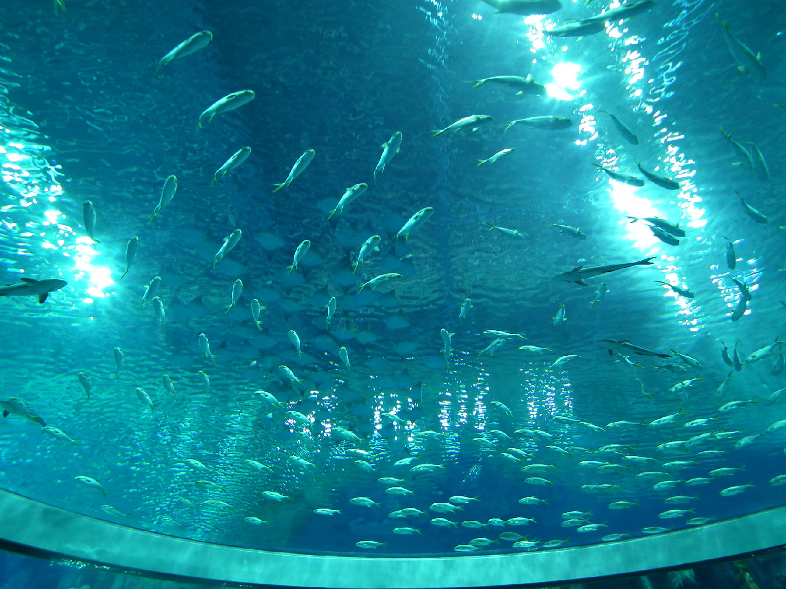 DSCF4976.JPG