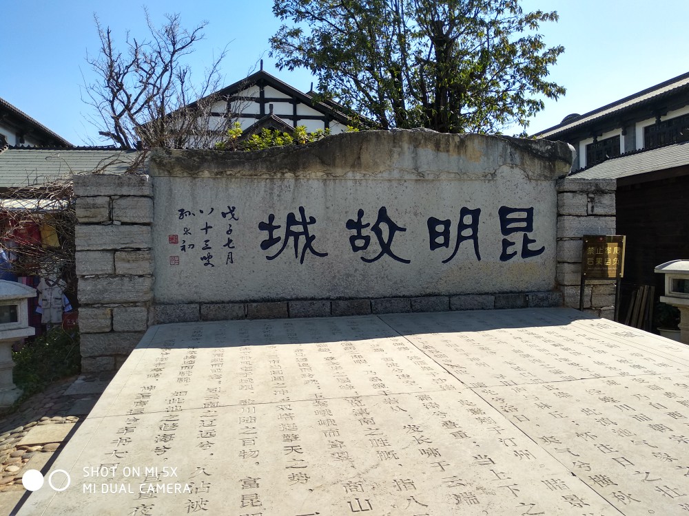 IMG_20180217_114953_HDR.jpg