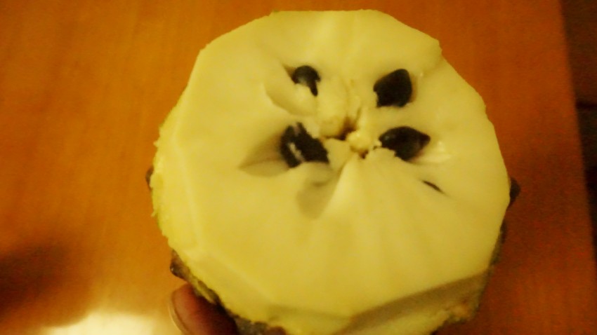 DSC05387_conew1.jpg