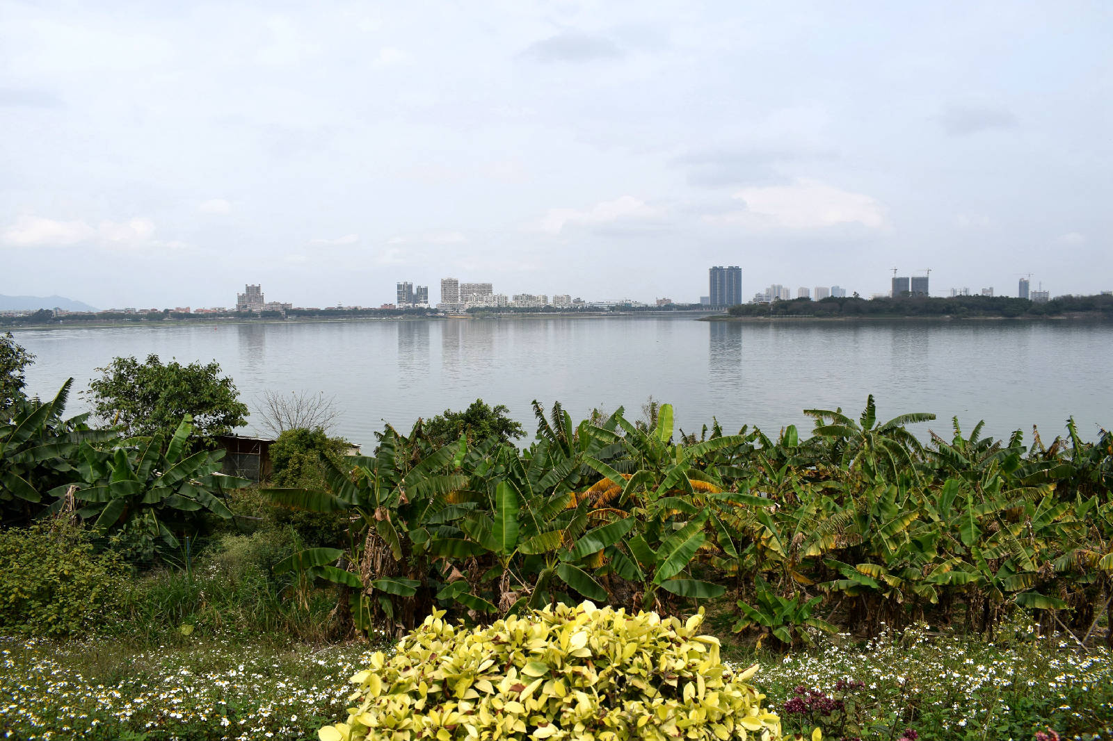 DSC_0072.JPG