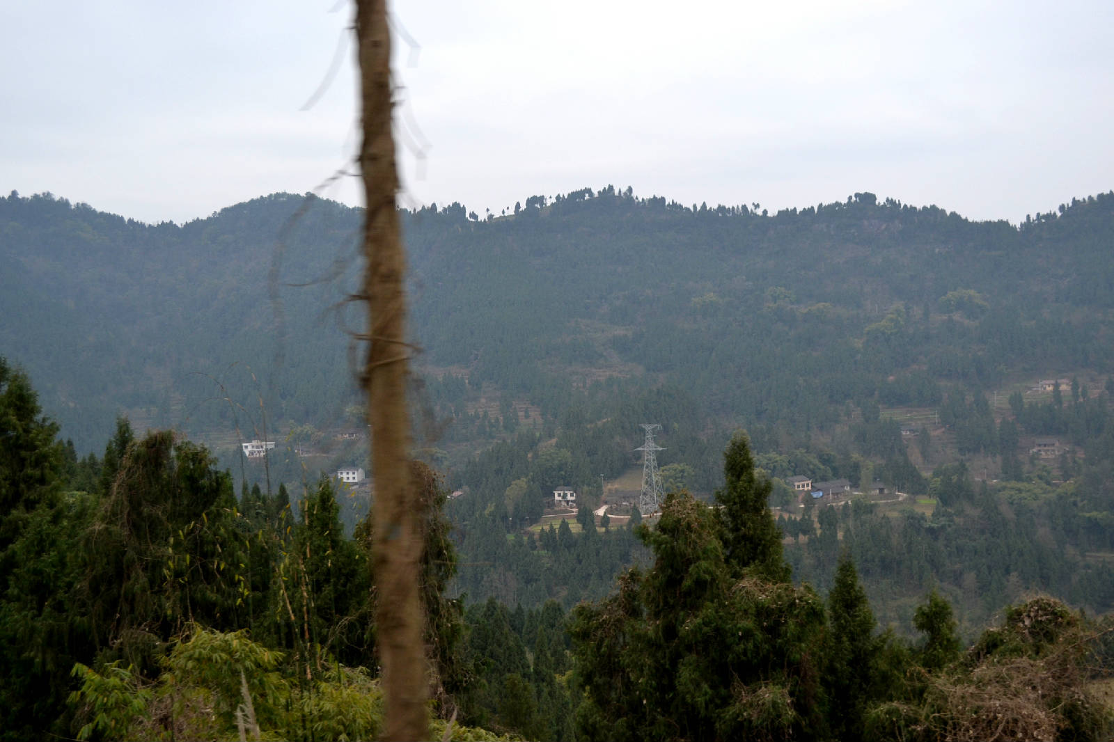 DSC_5368.JPG