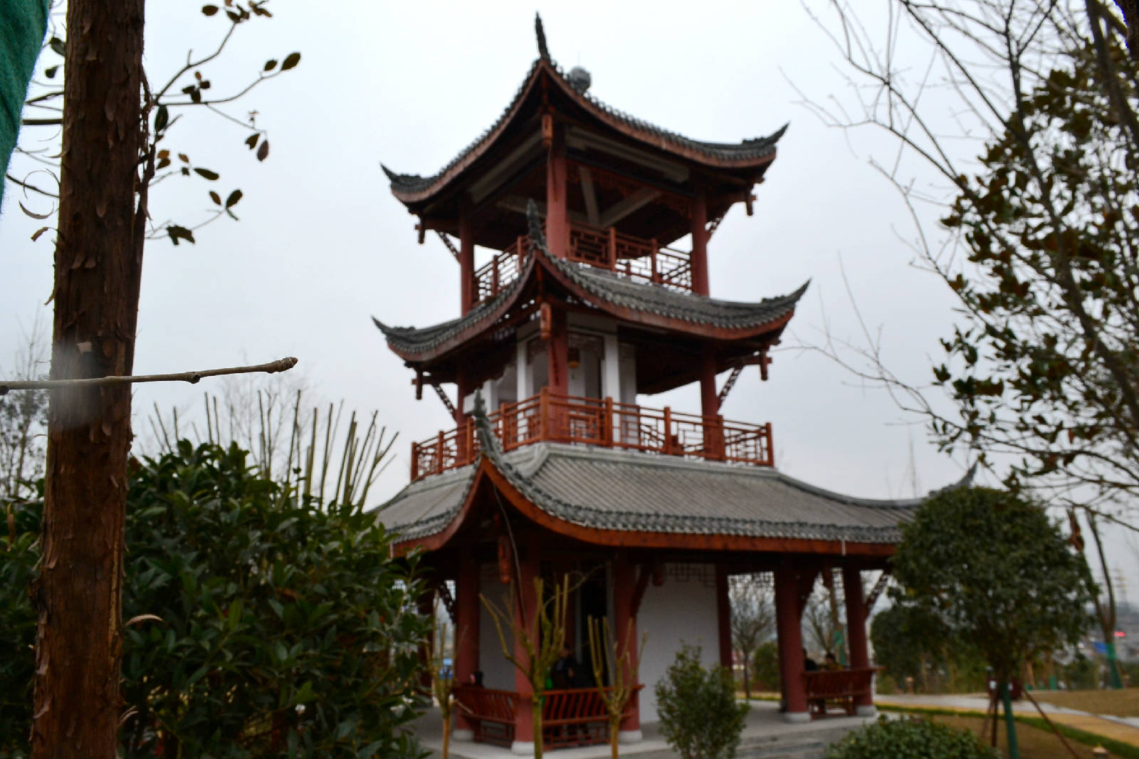 DSC_5436.JPG