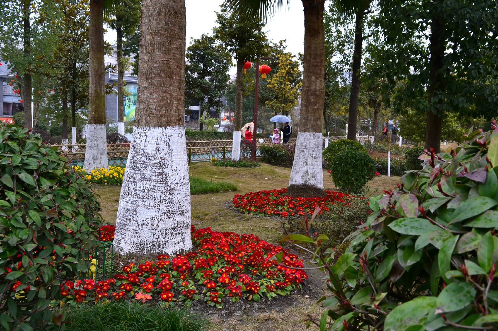 DSC_5450.JPG
