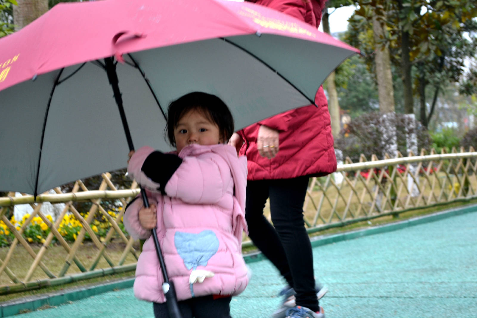 DSC_5455.JPG