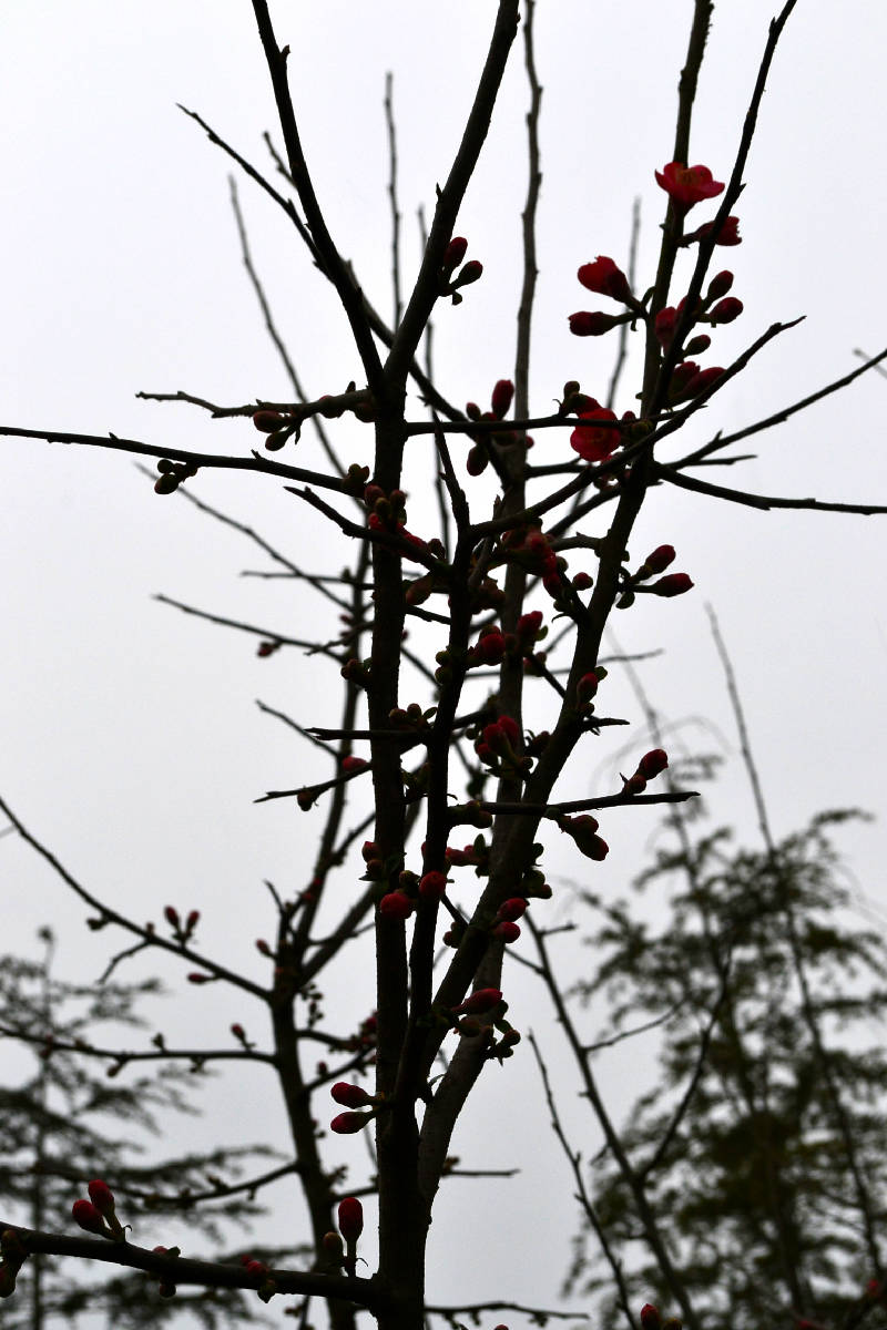 DSC_5476.JPG