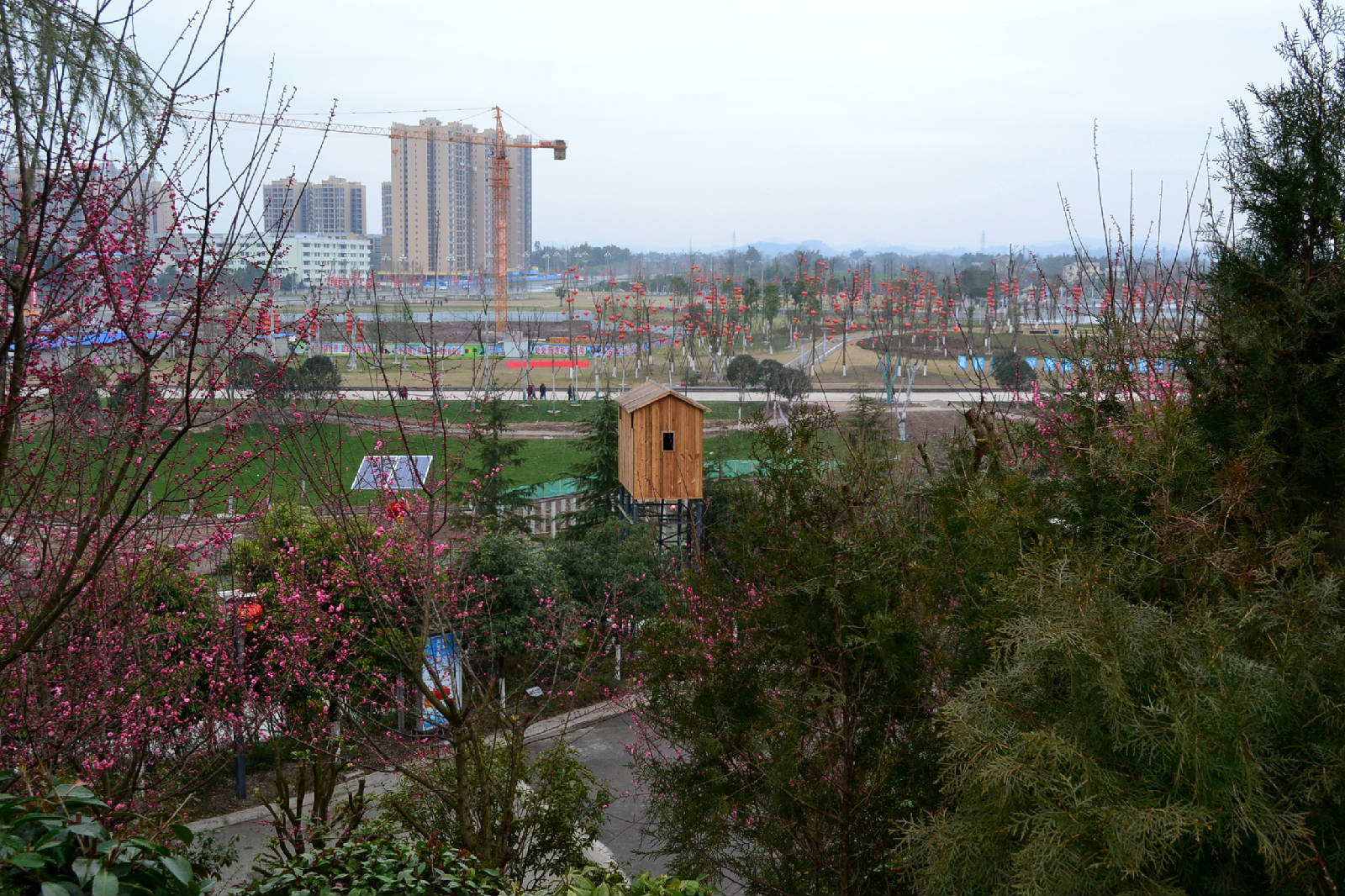 DSC_5481.JPG