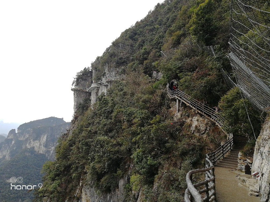 IMG_20180222_114602.jpg
