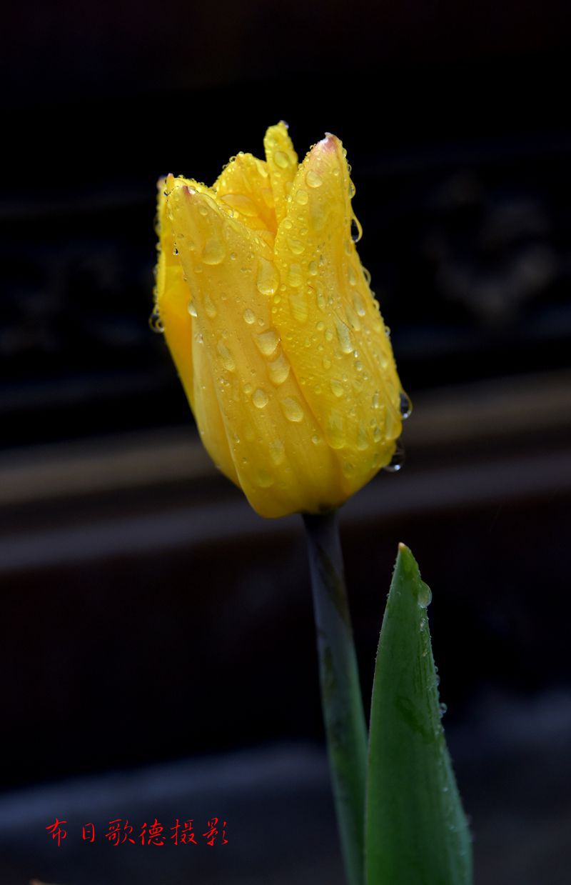DSC_1407.JPG