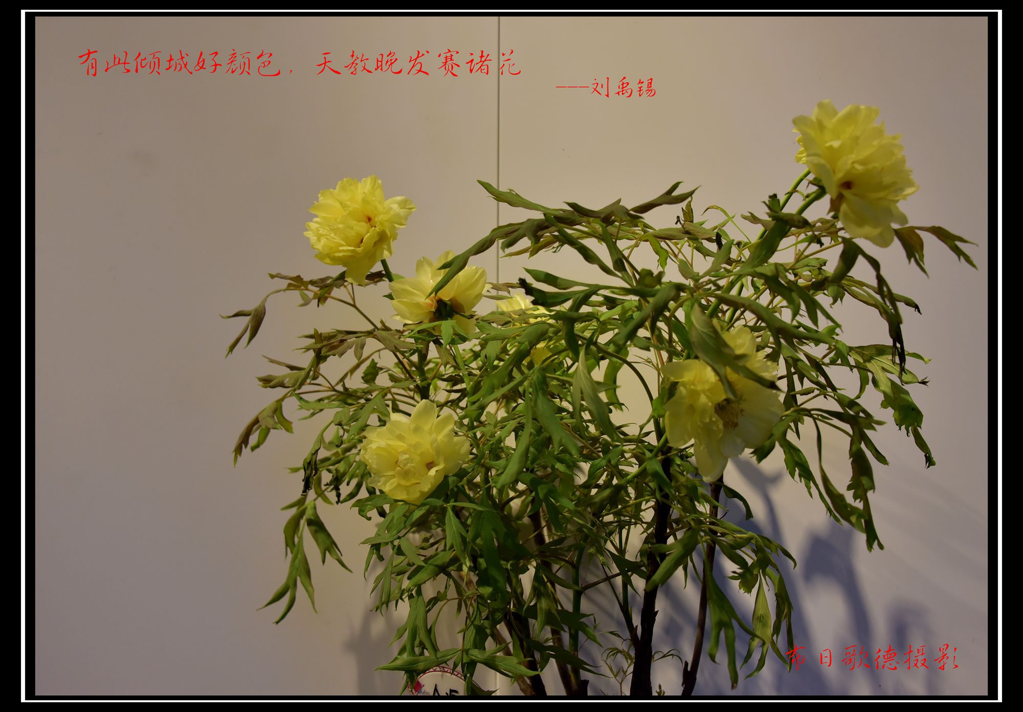 DSC_1557.JPG