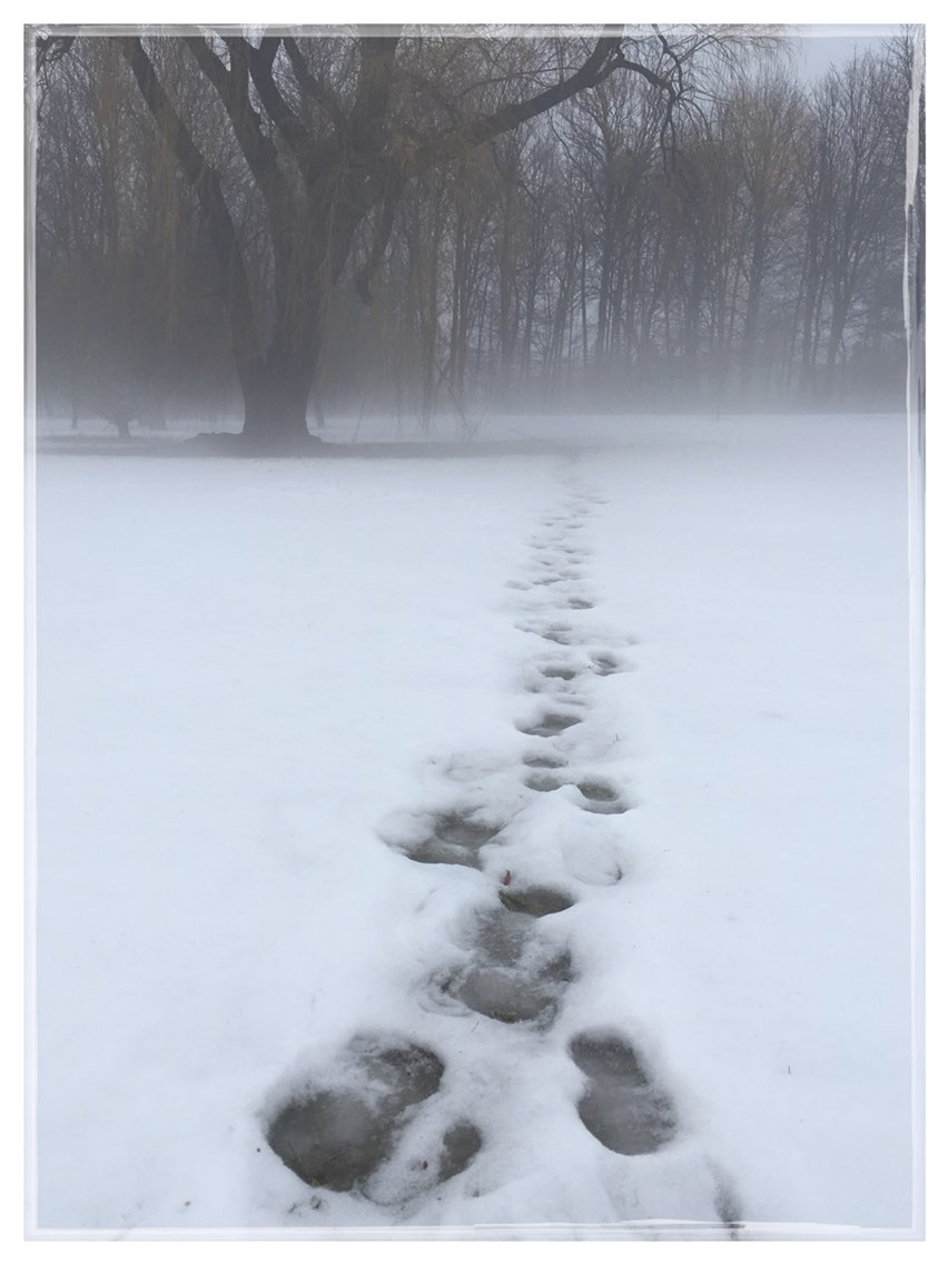 20180223211132.jpeg