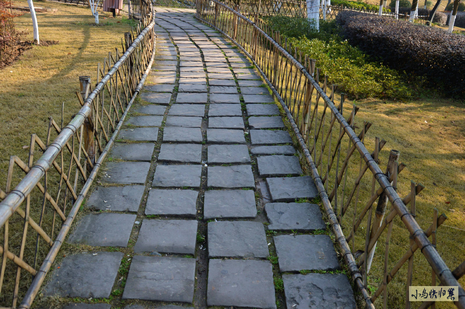 DSC_0085.JPG