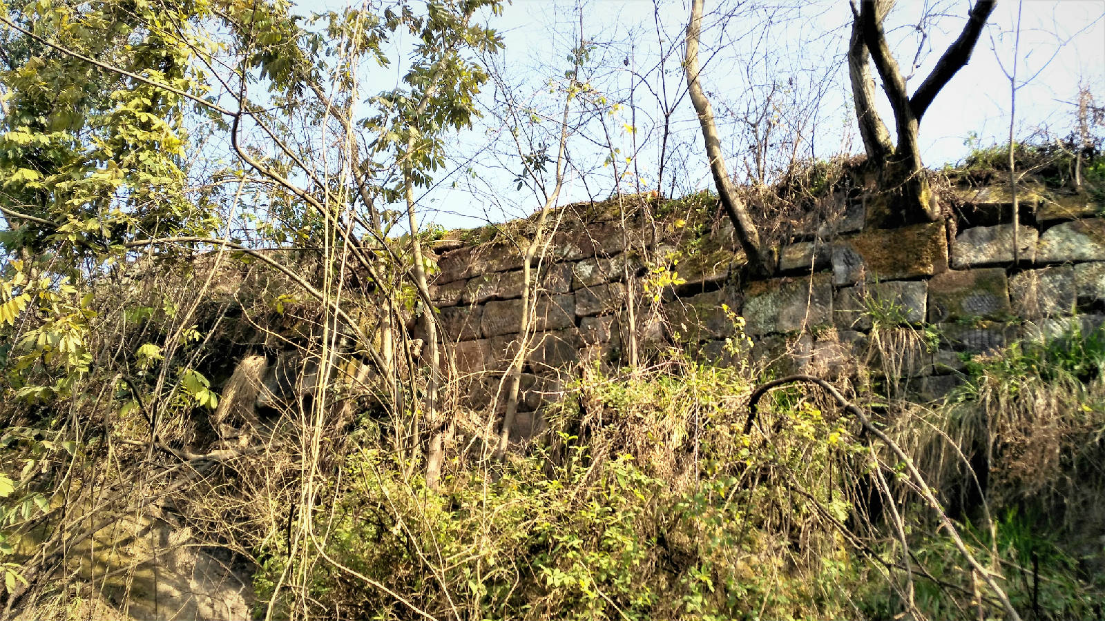 IMG_20180225_113228.jpg