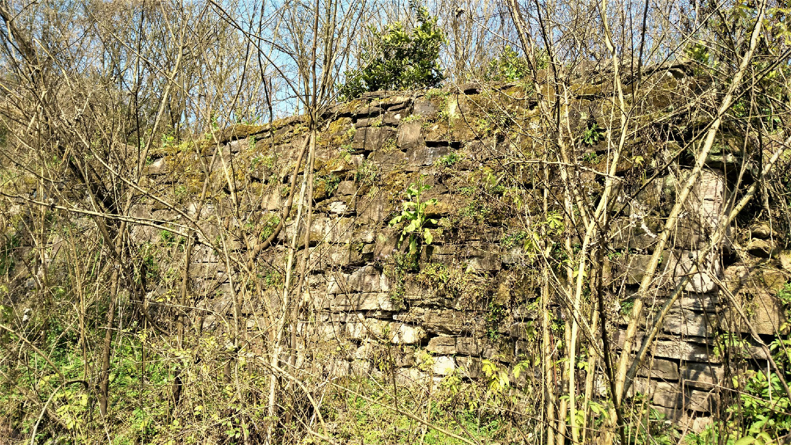 IMG_20180225_114906.jpg