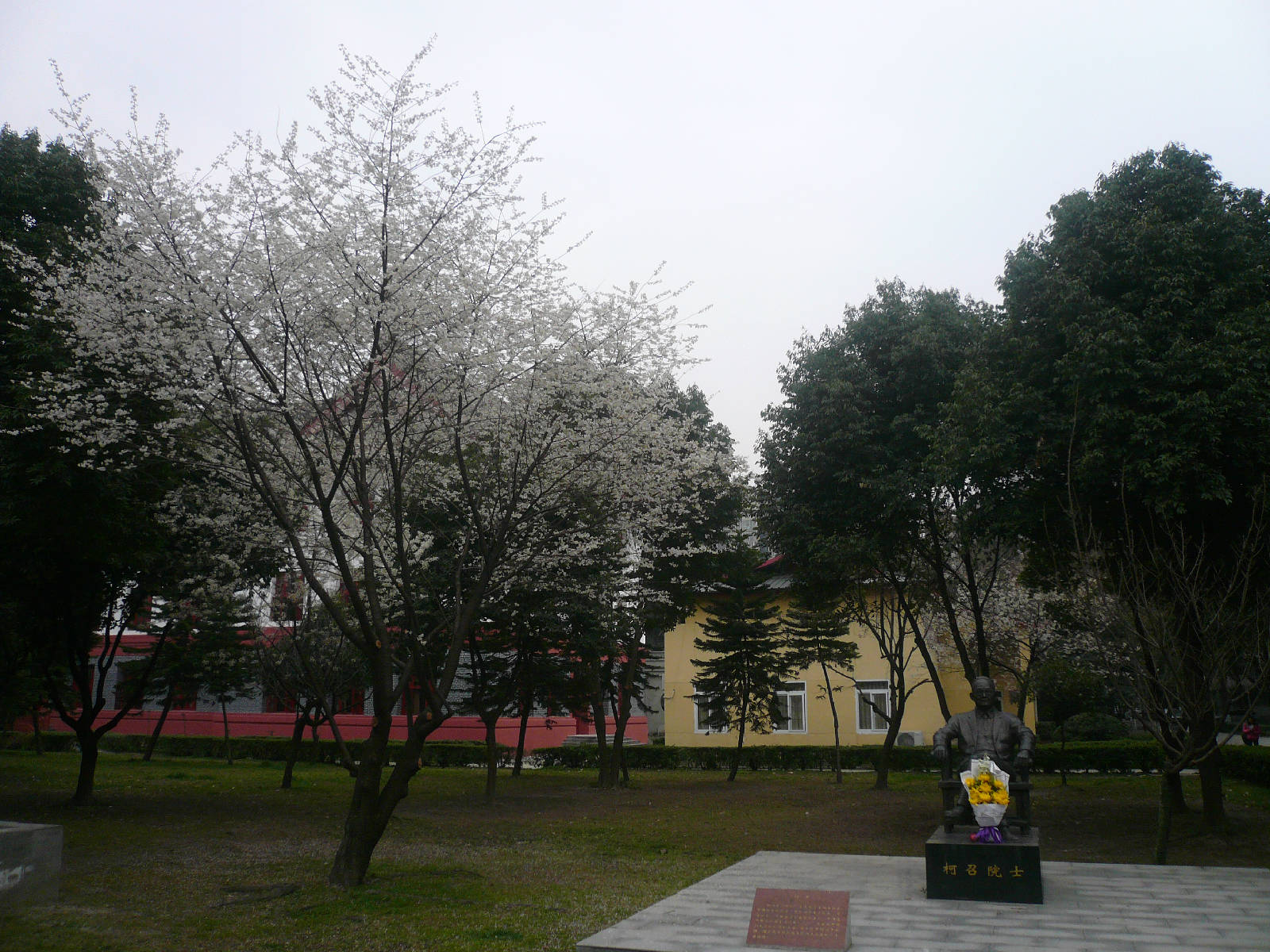 P1500799.JPG