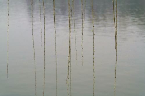 u_3483517705_1349440932&amp;fm_27&amp;gp_0.jpg