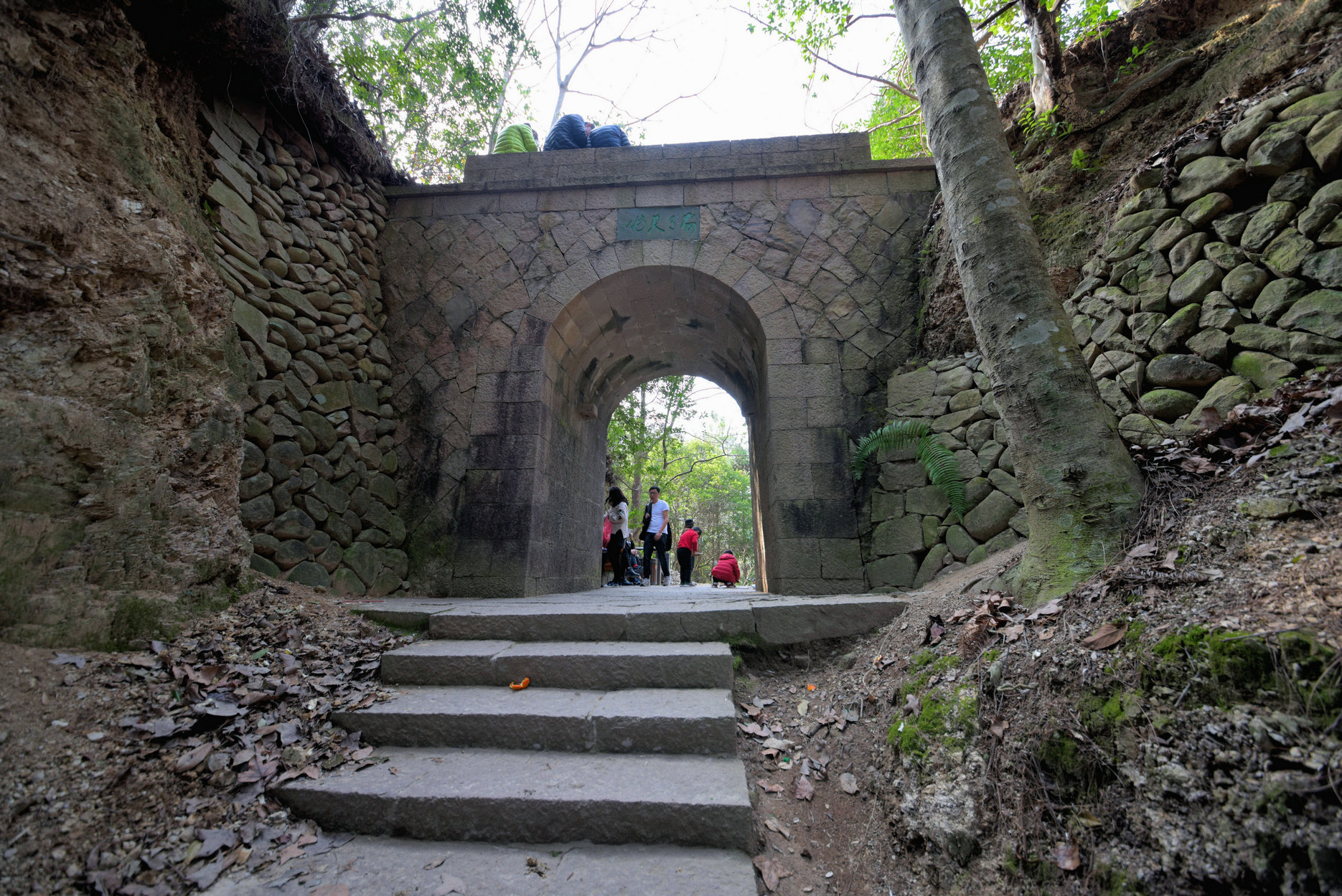 GLN_4801.JPG