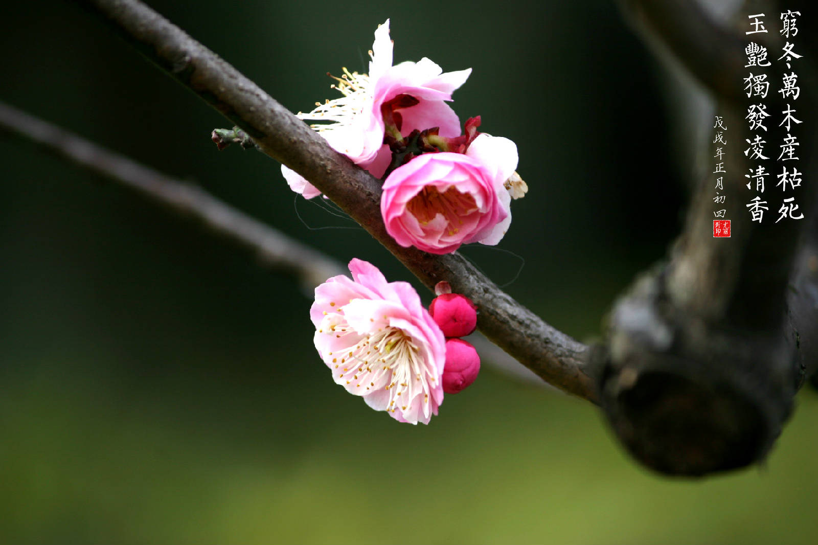 IMG_0190_副本.jpg