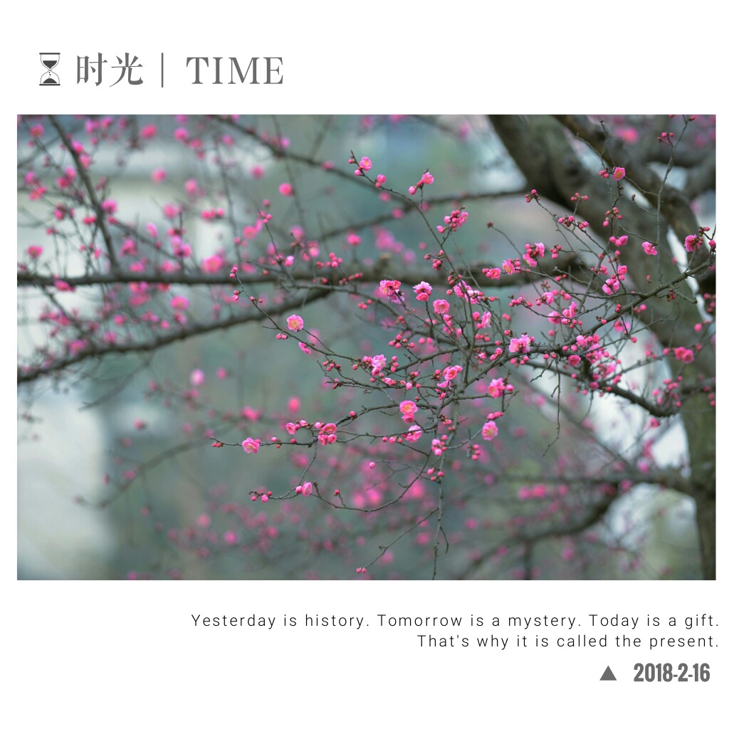 YWI_0543_mix01_mix01.jpg