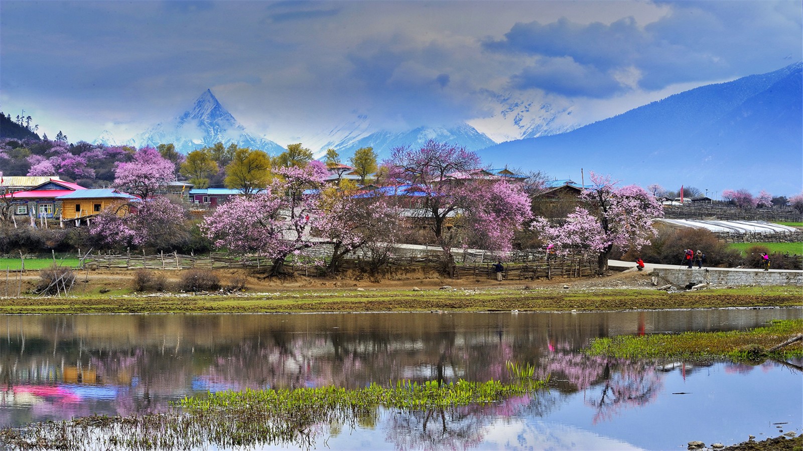 林芝旅游最佳季节图片