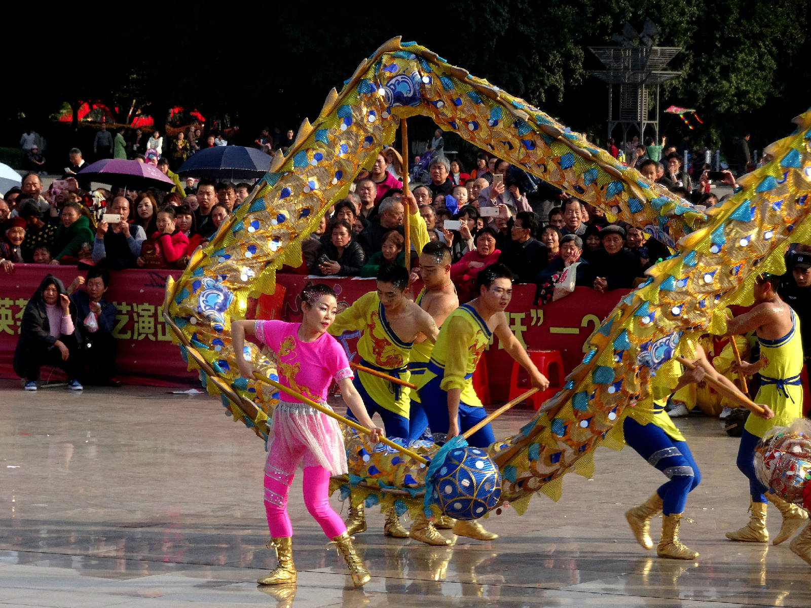 DSC08175_副本.jpg