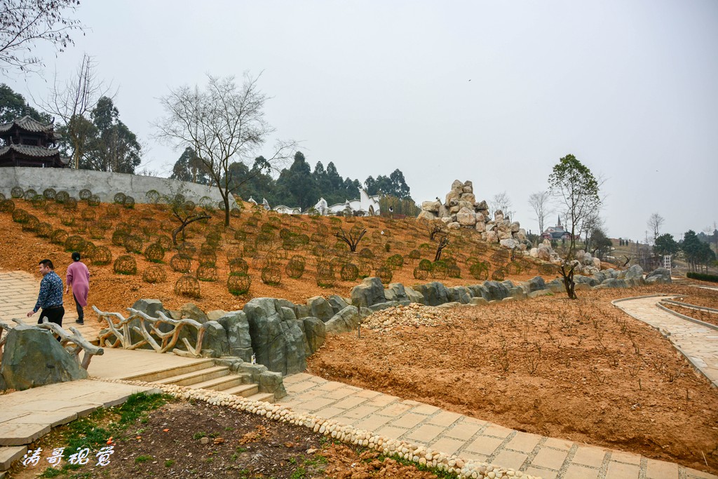 DSC_4888.jpg