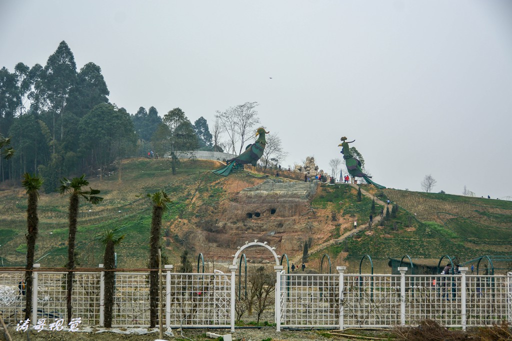 DSC_4902.jpg