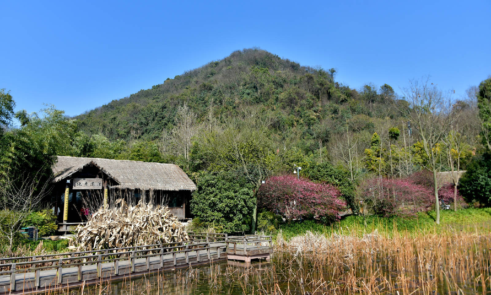 DSC_2097.JPG