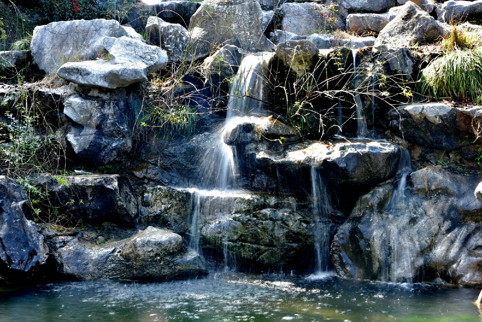 DSC_2121.JPG