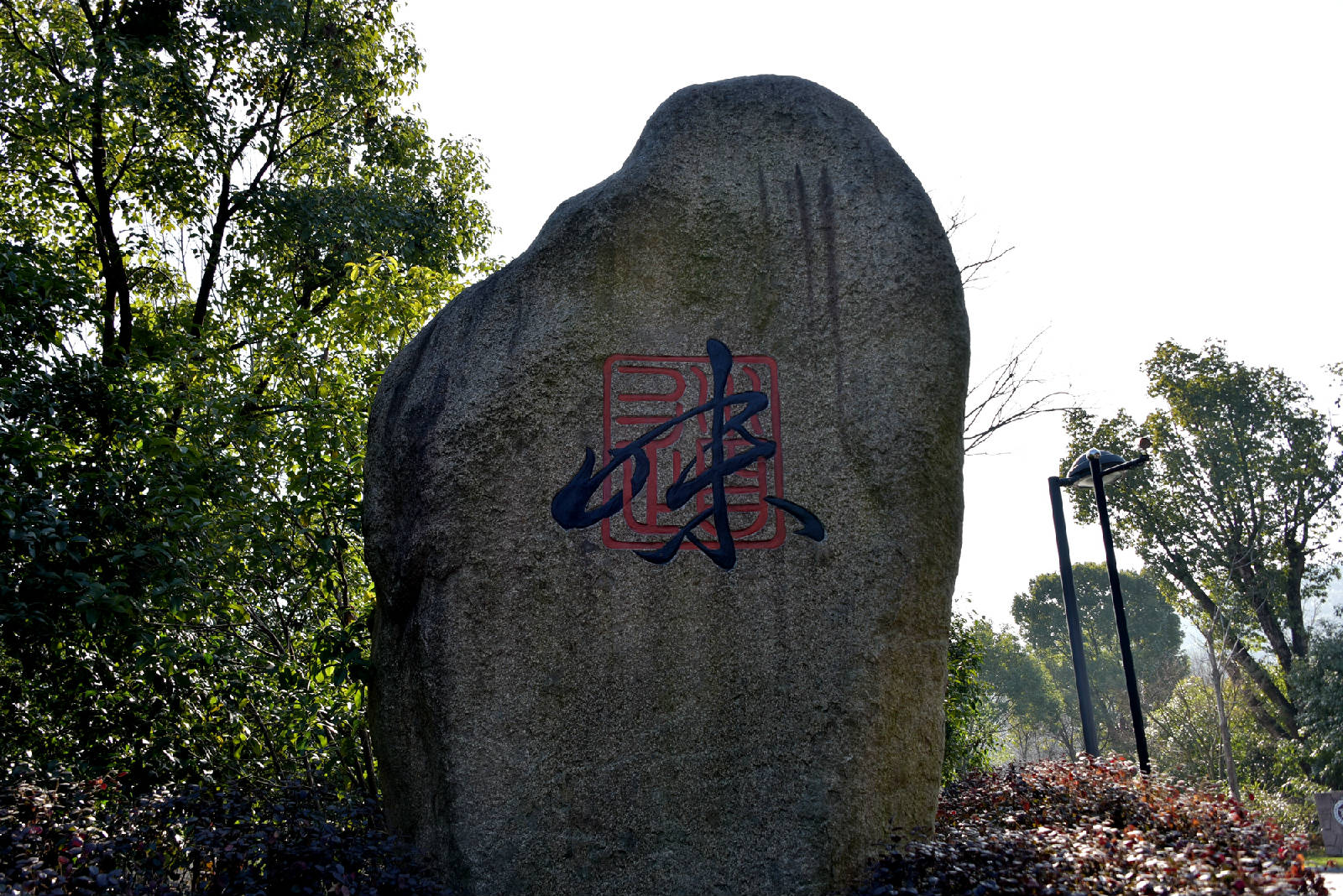 DSC_2130.JPG