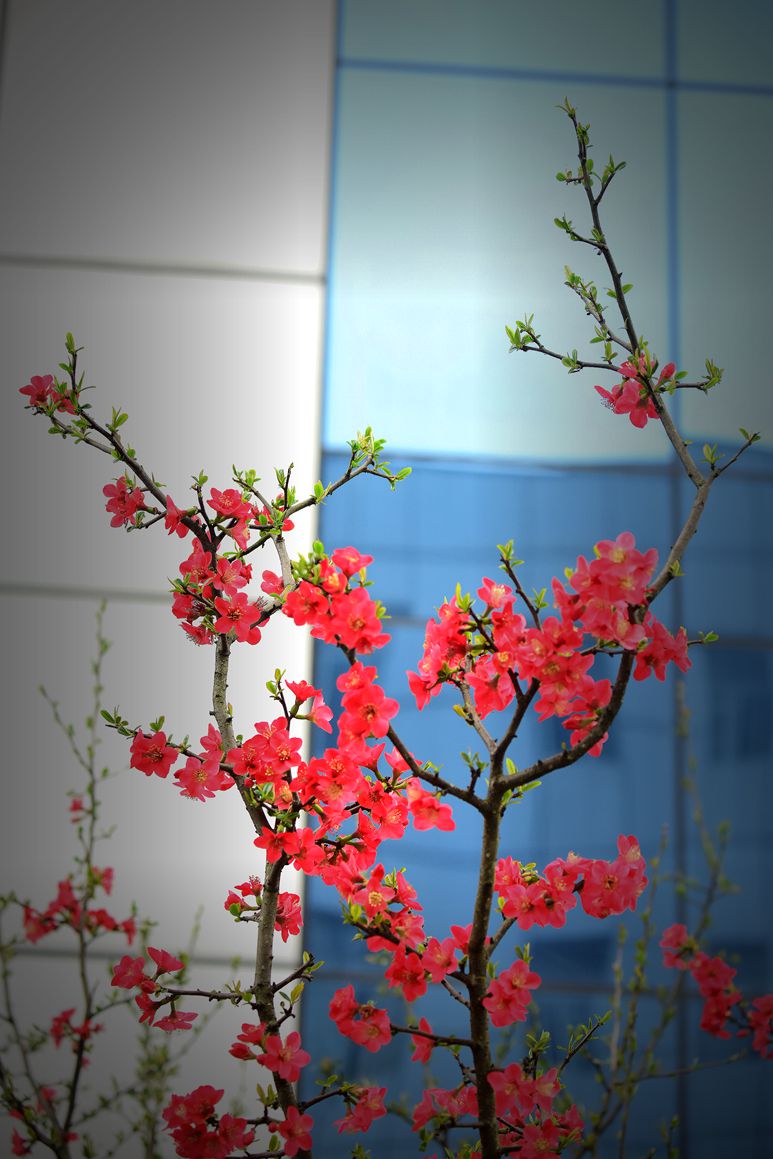 DSC_5013.JPG