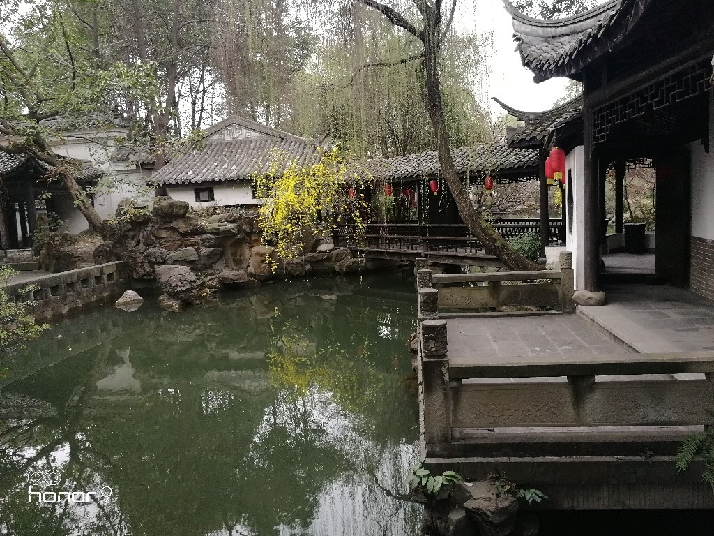 IMG_20180305_175356.jpg