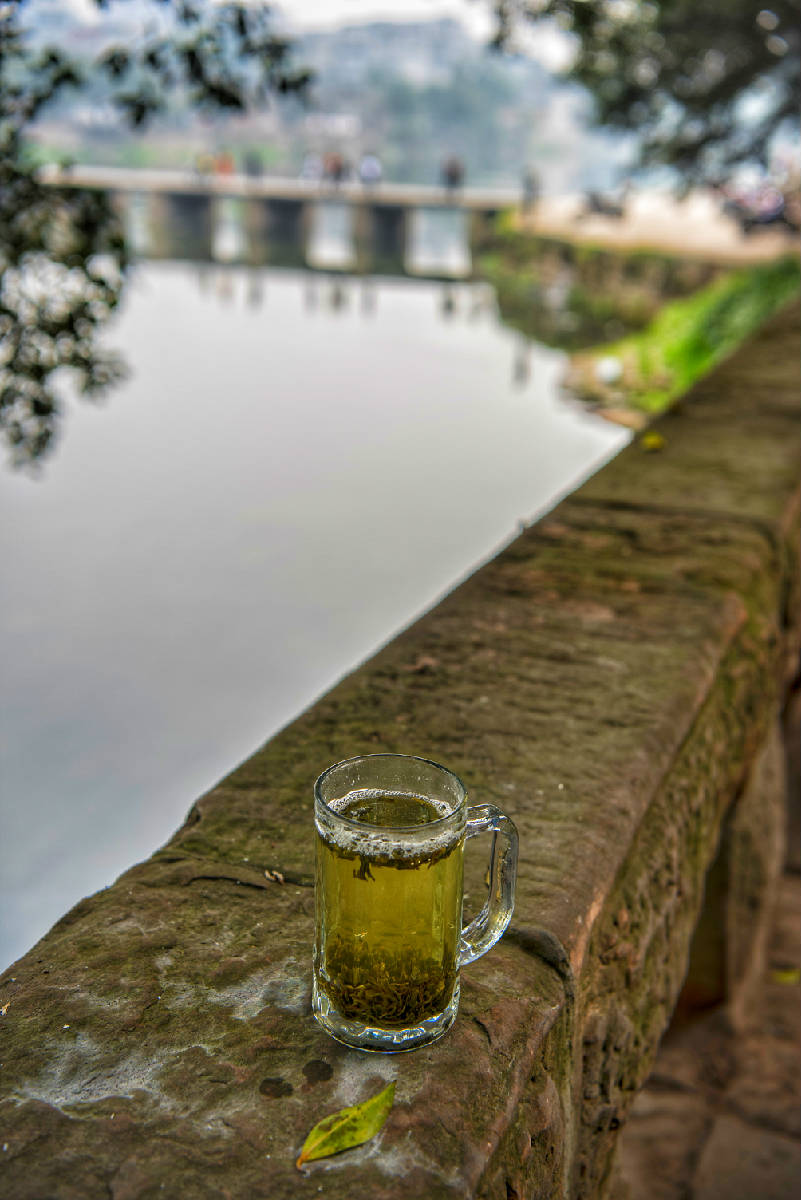 DSC_1285-01.jpeg