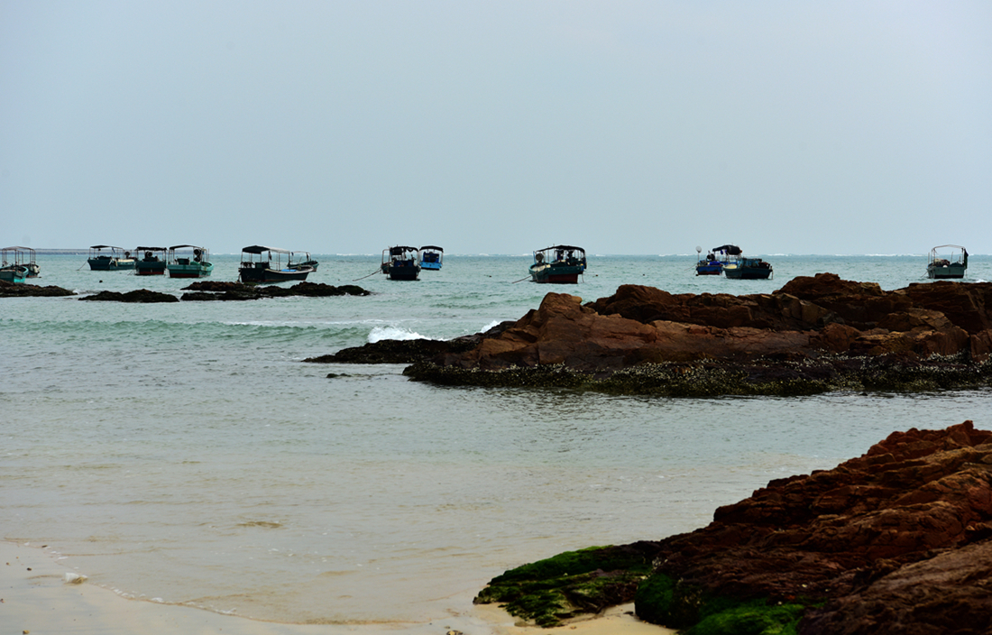 DSC_1472__.jpg