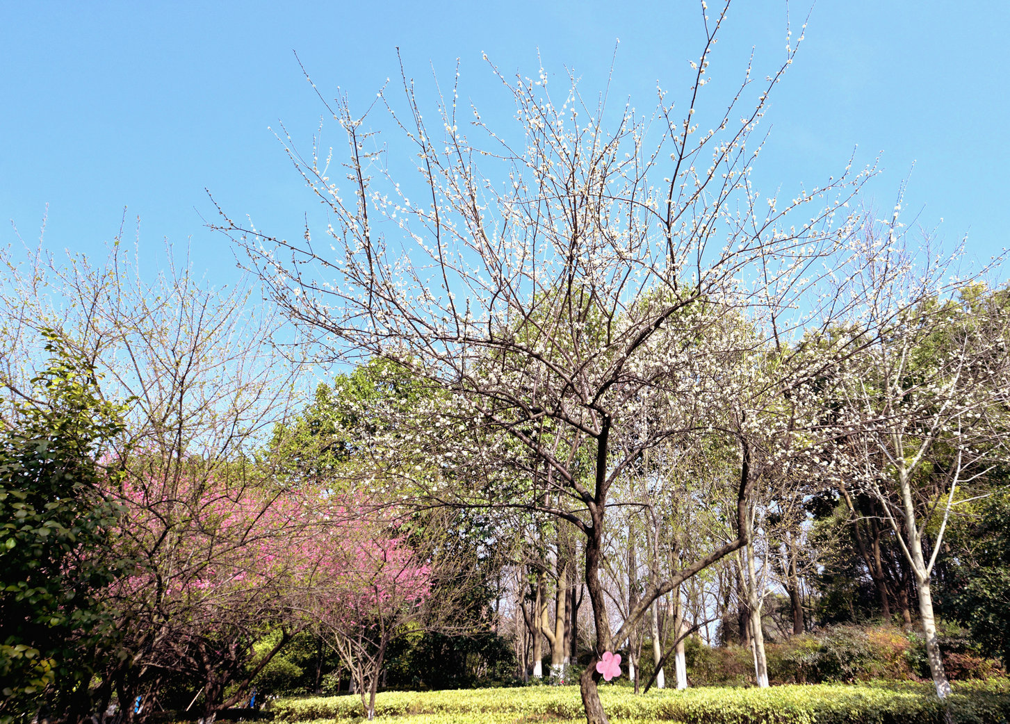 GLN_4952.JPG