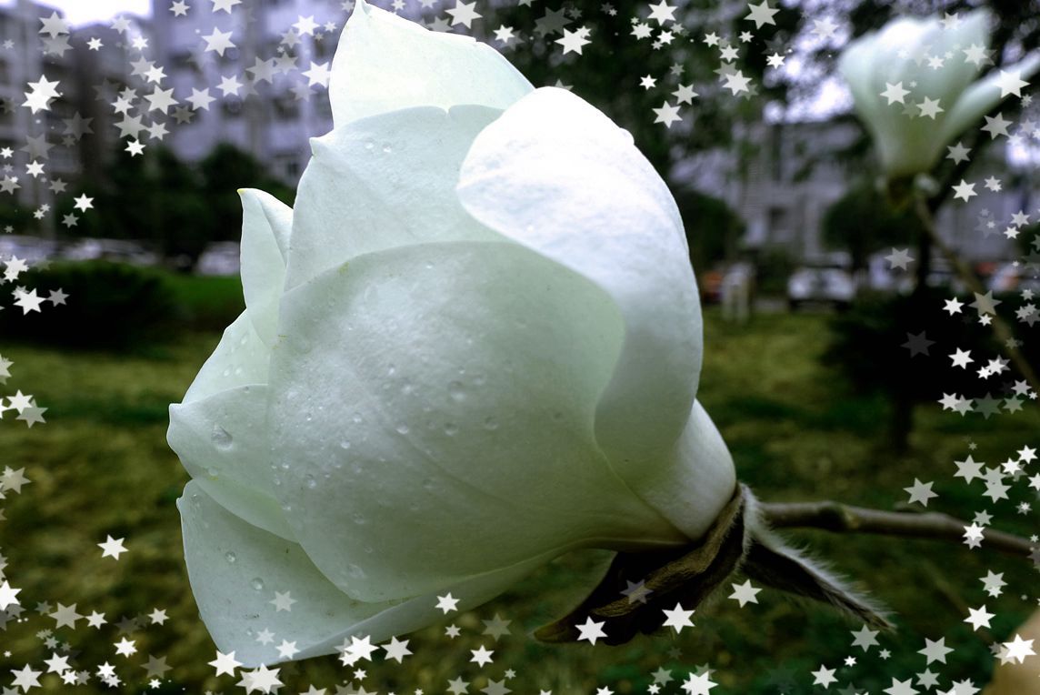 DSC01121.JPG