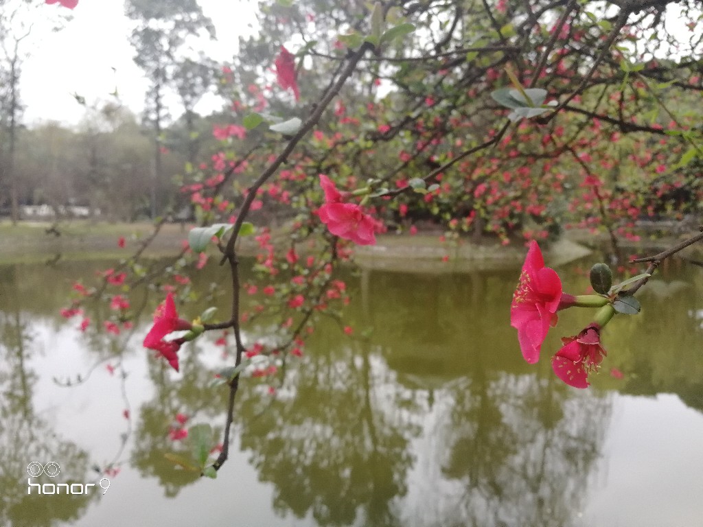 IMG_20180305_172526.jpg