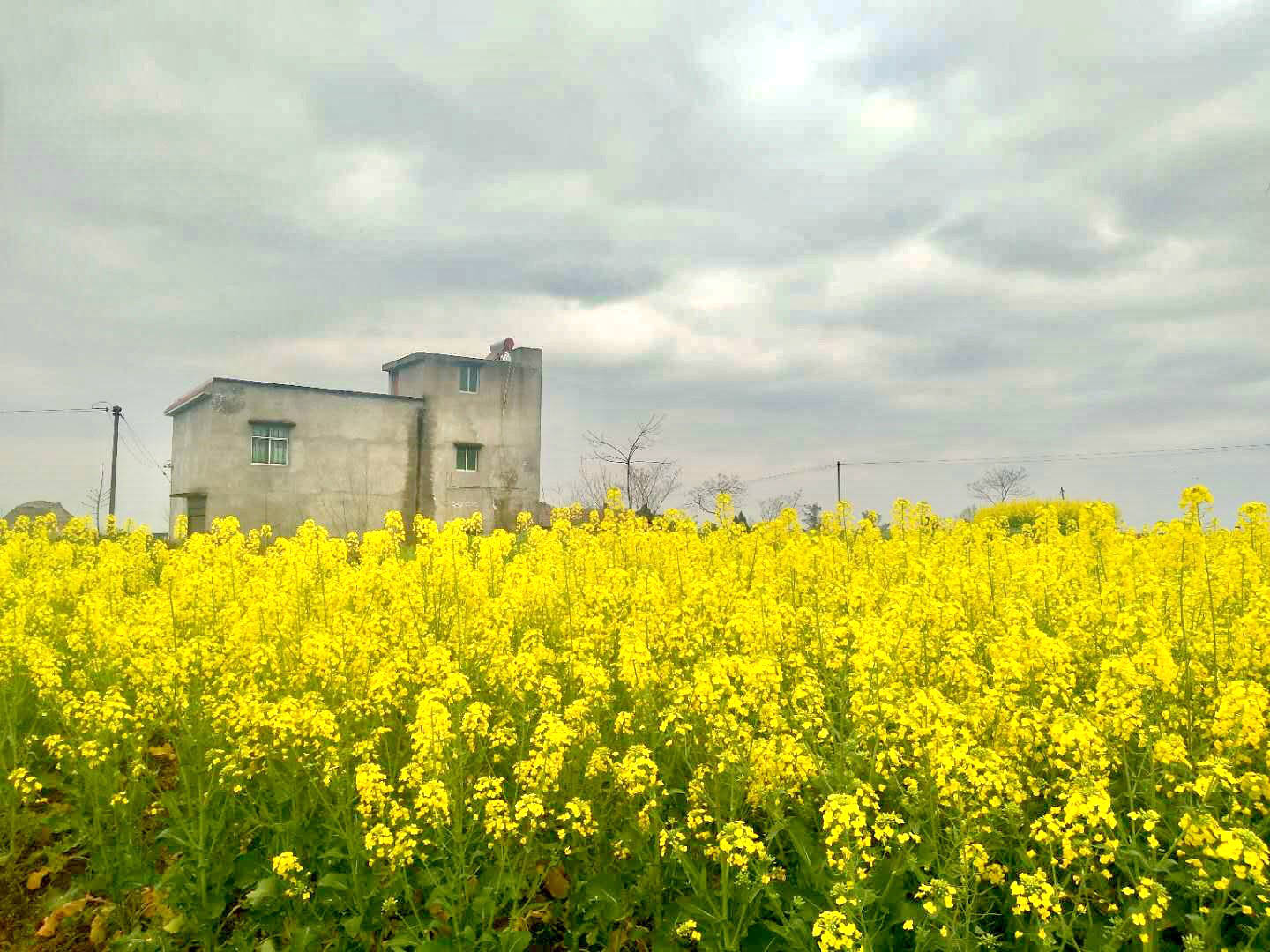 坪滩镇的风景 (7).jpg