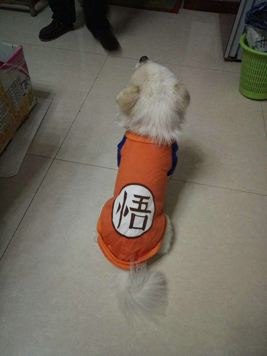 �ҵ�С����