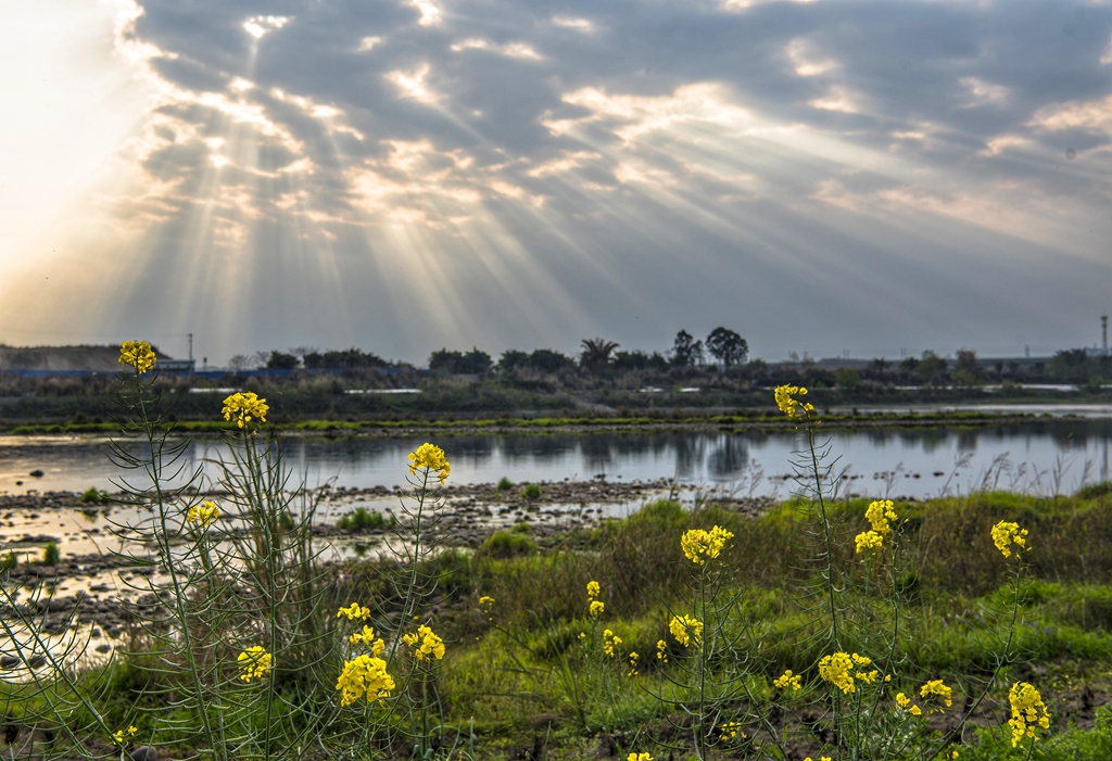 DSC_1391-01.jpeg