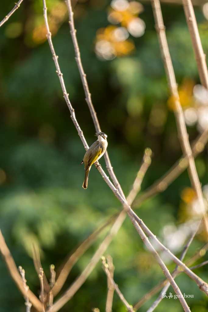 DSC_0316.jpg